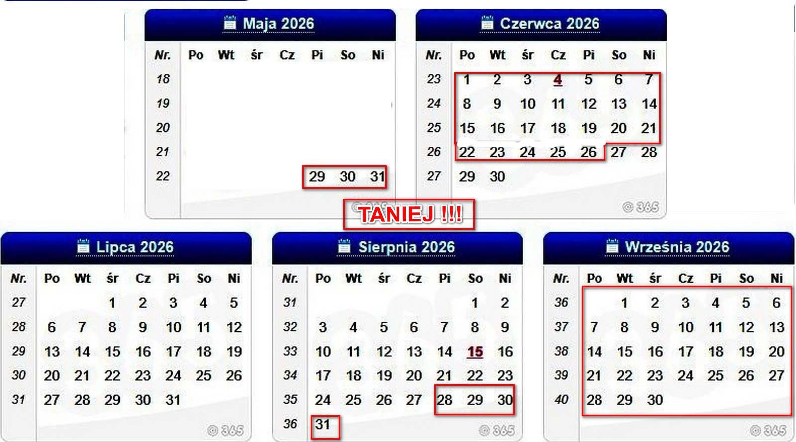 Terminarz apartamentu 1